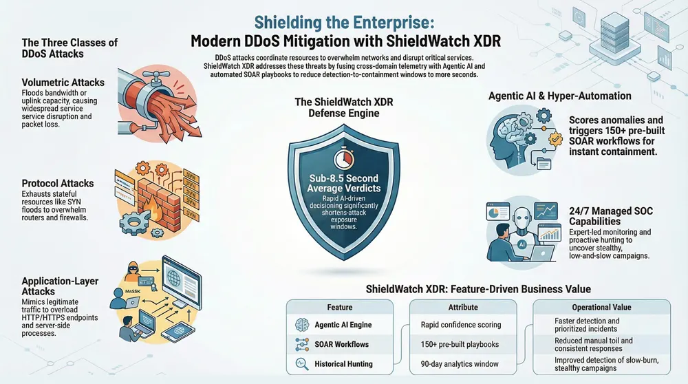 Infographic about DDoS Attack Prevention Protecting Your Network from Distributed Denial of Service